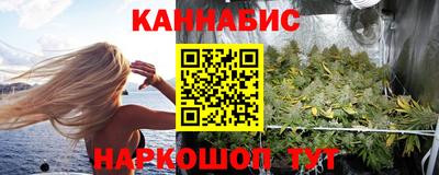 индика Обнинск