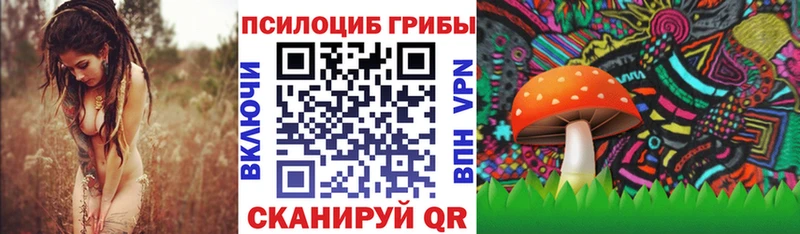 ОМГ ОМГ   купить наркоту  Армавир  Галлюциногенные грибы Cubensis 
