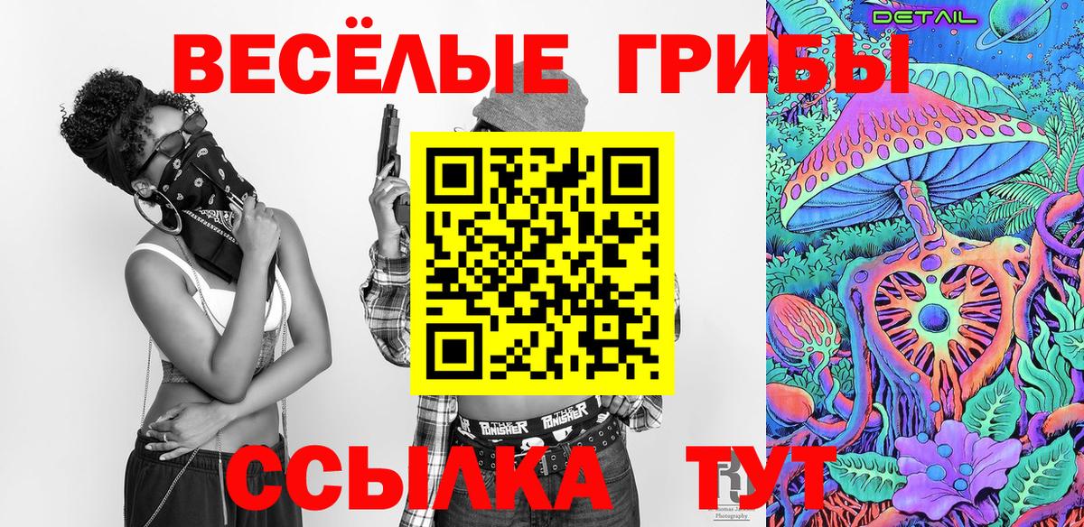 Армавир  купить  сайты  Вход с VPN  Псилоцибиновые грибы мицелий 